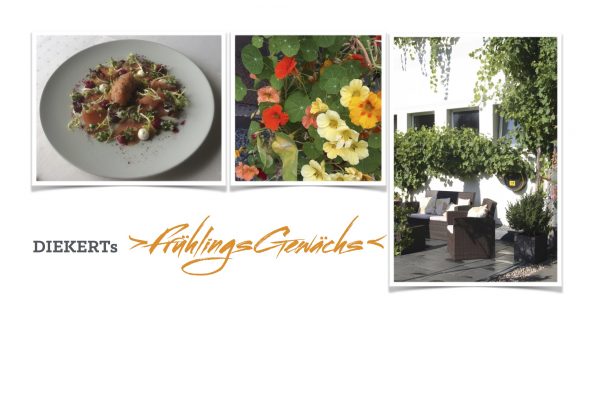 Plate with food, flowers, and outside seating area - Diekert's spring package banner