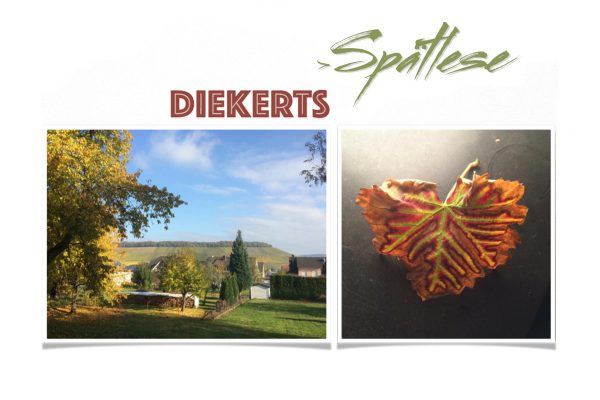 Outdoors and autumn leaf - Diekert's late harvest banner