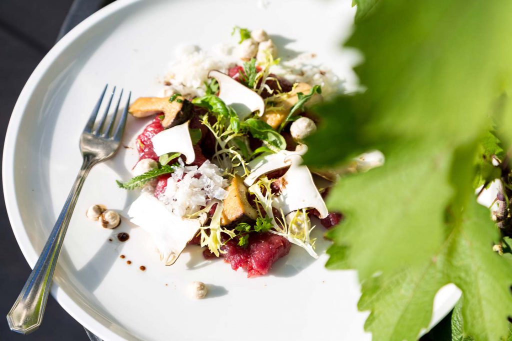 Plate with meat and herbs