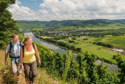 People hiking on a hill and looking at a river