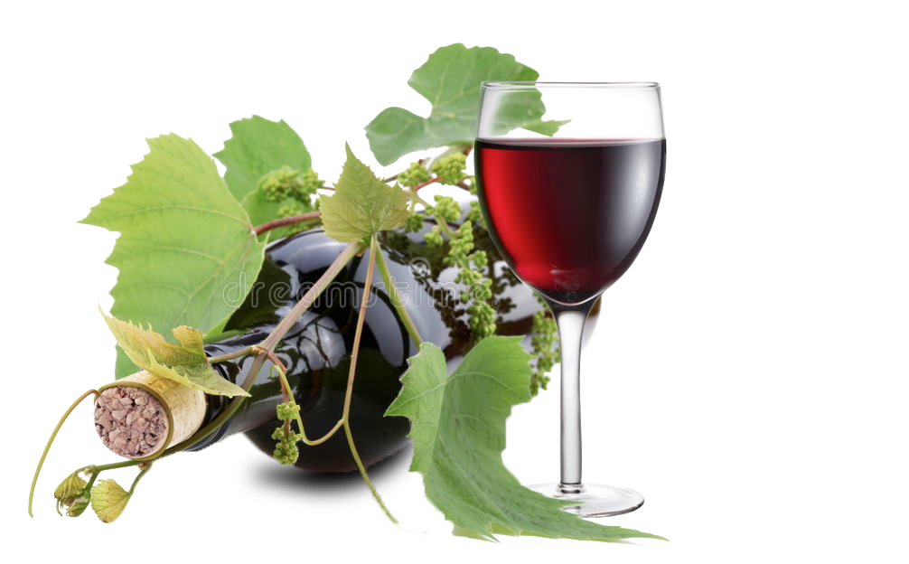 Wine bottle, glass of wine, and young vine