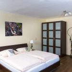 Double bed and closet in a hotel room