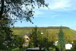 View of hill and houses