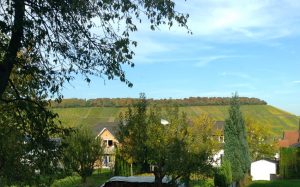 View of hill and houses