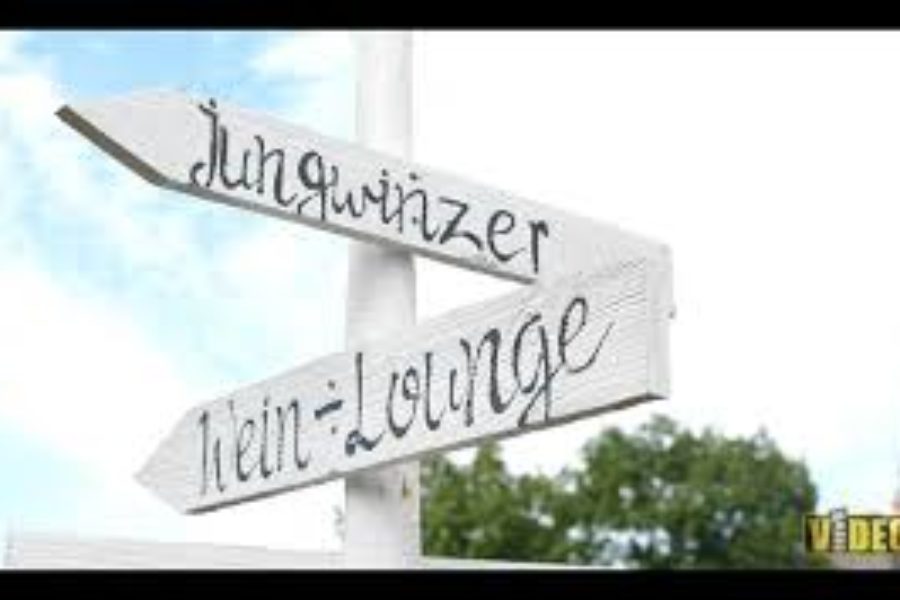 03. & 04. August 2024 >Klang und Glanz< am Wiltinger Saarufer